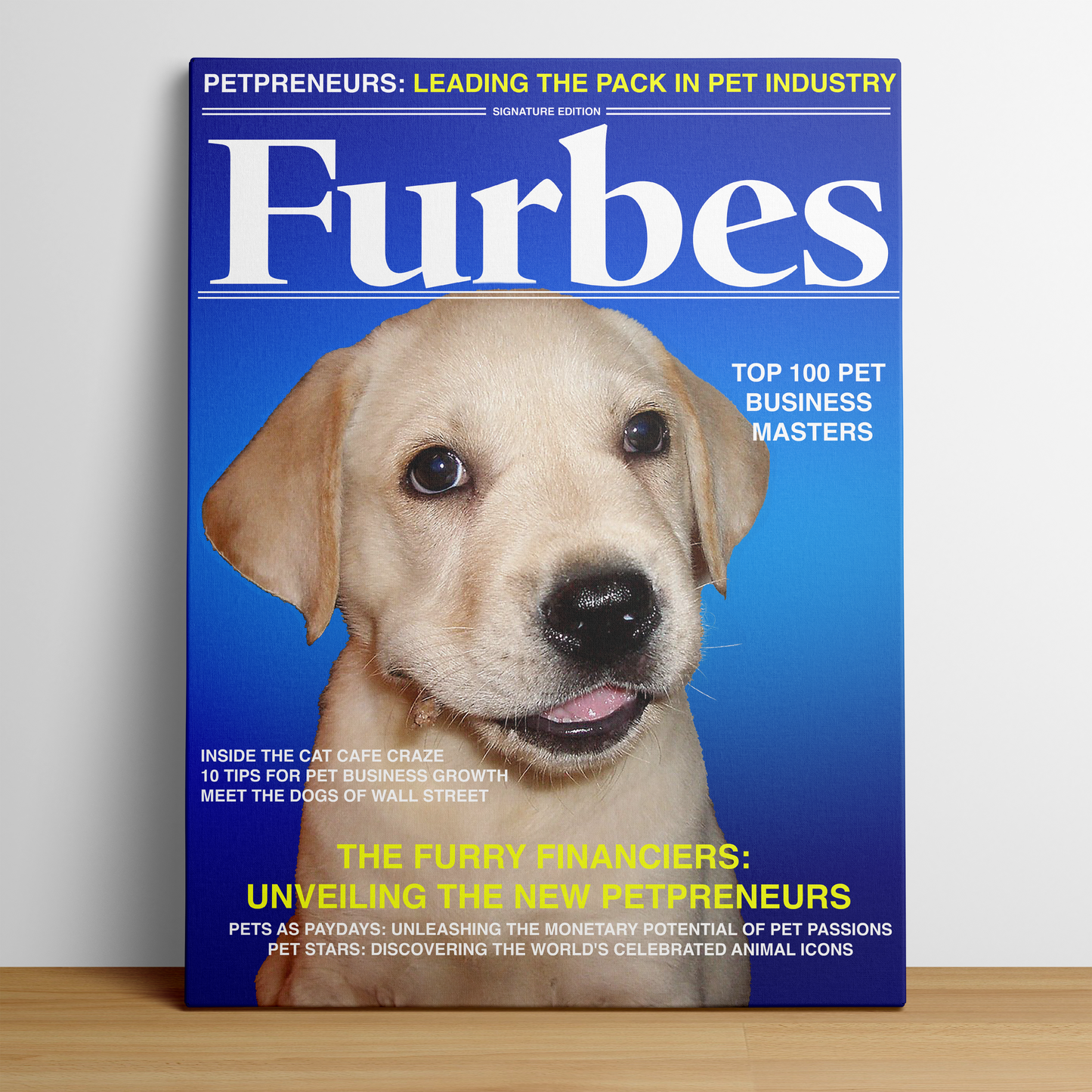 Magazine Cover Star - FURBES