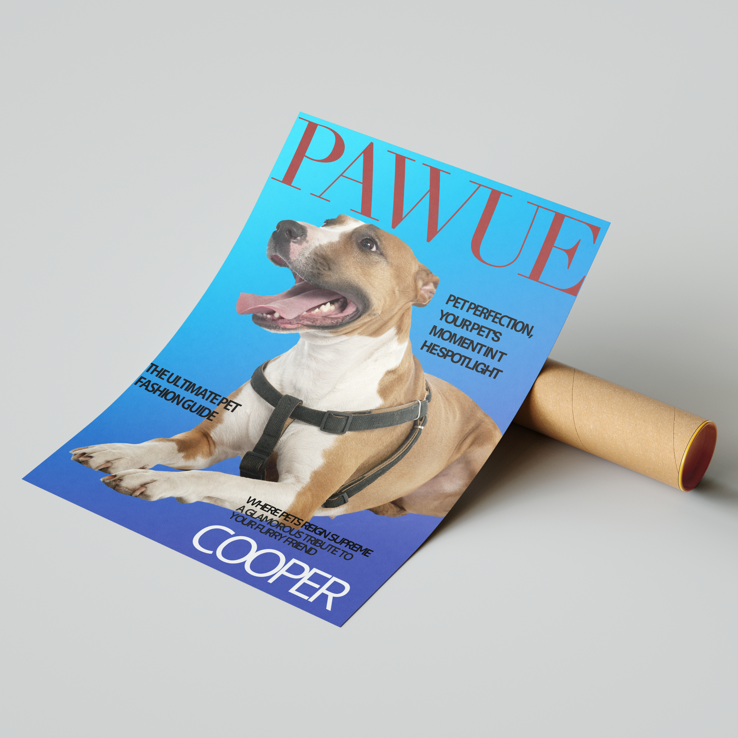 Magazine Cover Star - PAWUE