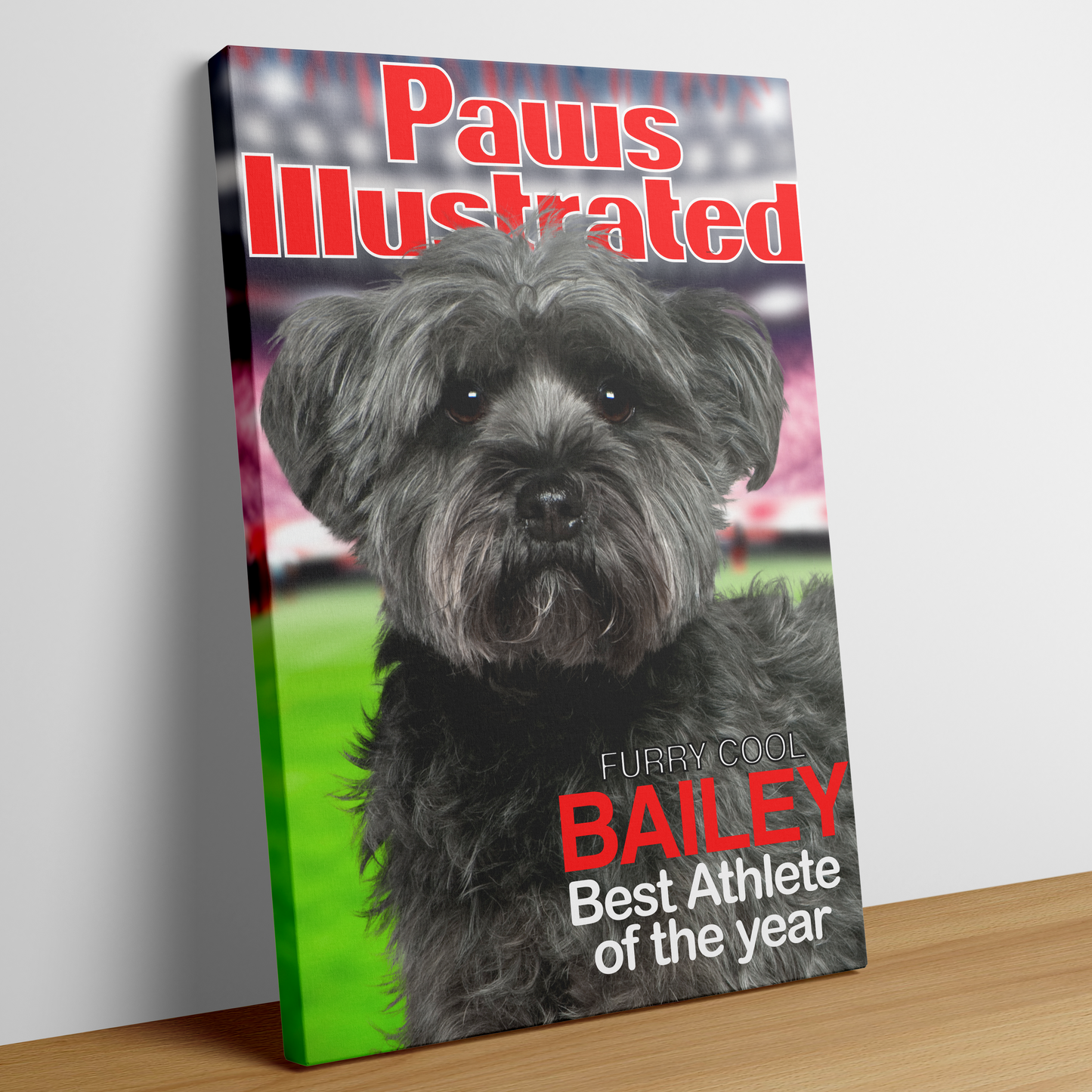 Magazine Cover Star - PAWS ILLUSTRATED