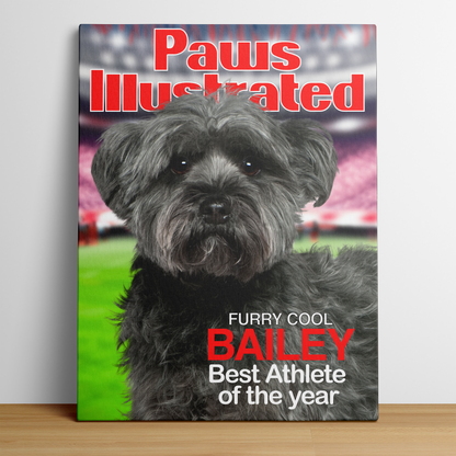 Magazine Cover Star - PAWS ILLUSTRATED